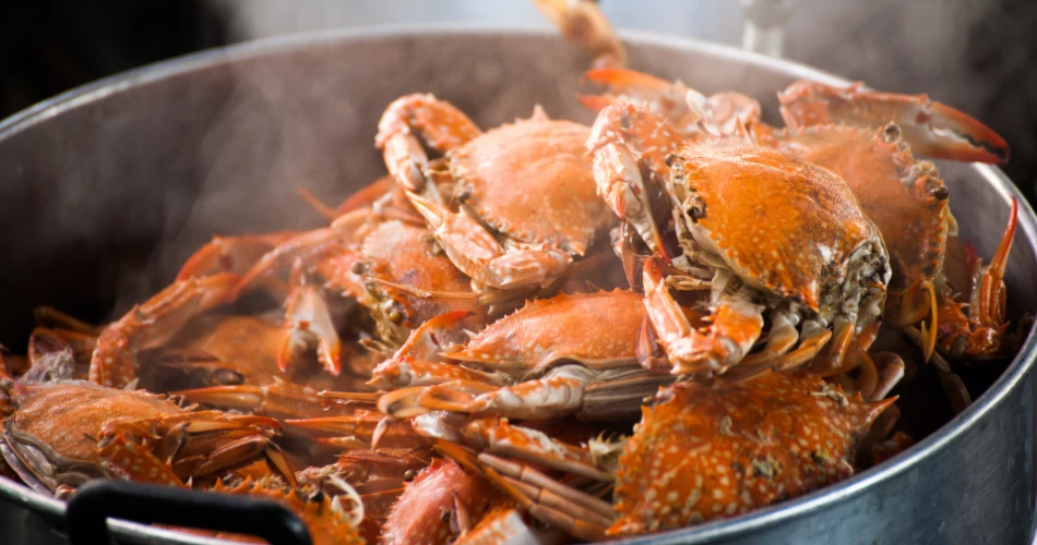 Top 10 Restaurants in San Francisco