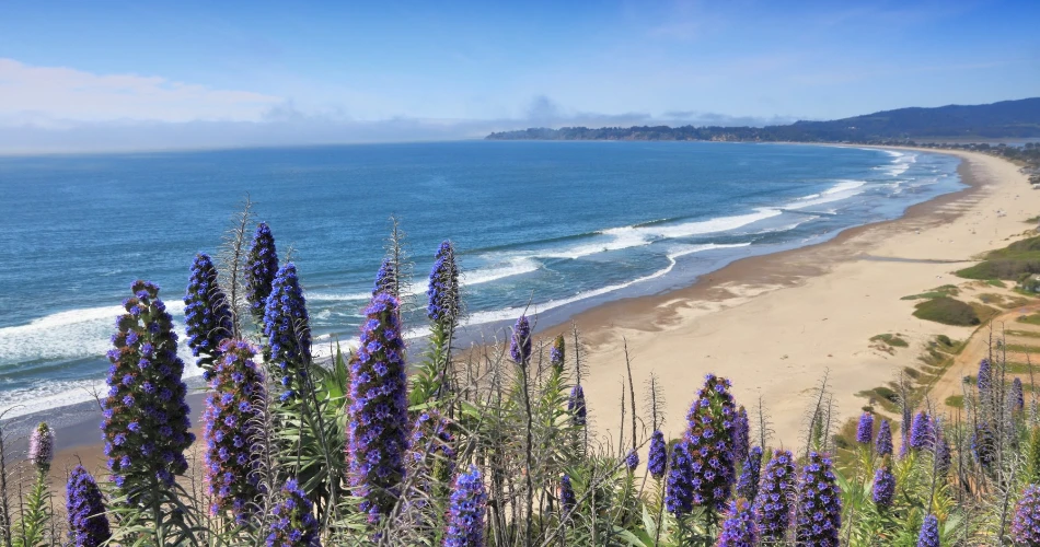 20 Best Day Trips from San Francisco
