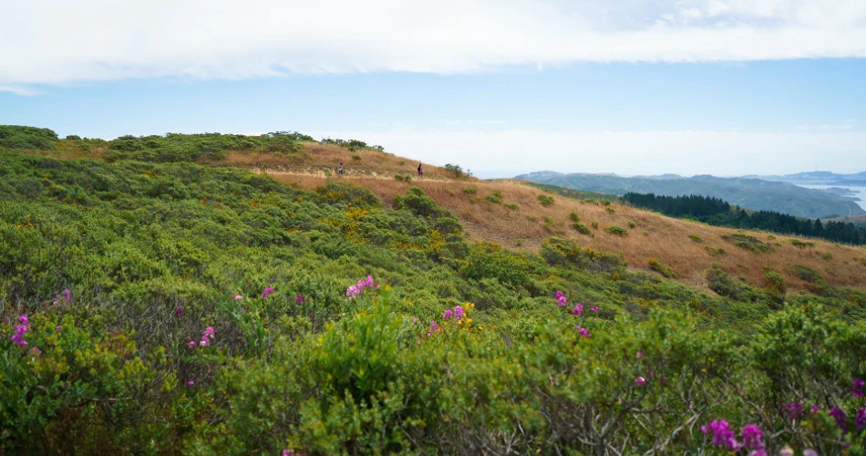 20 Best Day Trips from San Francisco