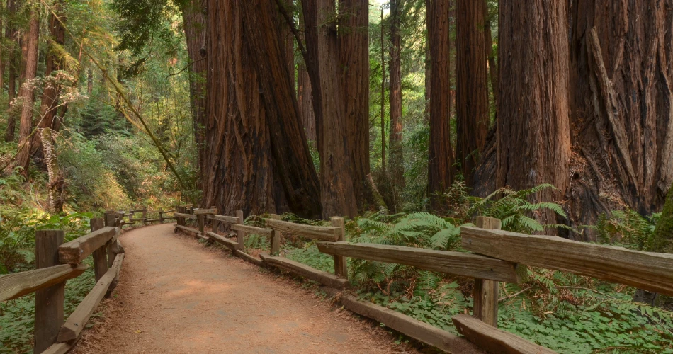 20 Best Day Trips from San Francisco