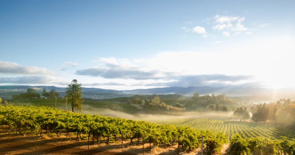 20 Best Day Trips from San Francisco