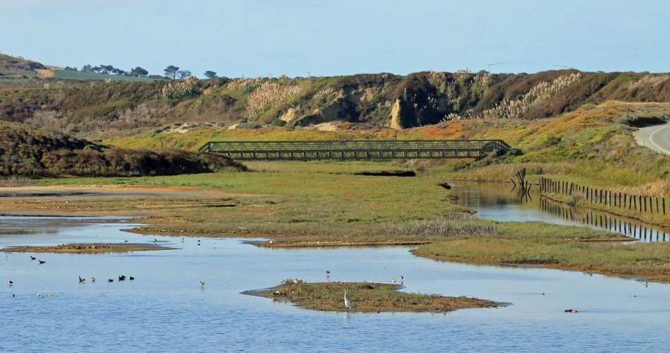 20 Best Day Trips from San Francisco